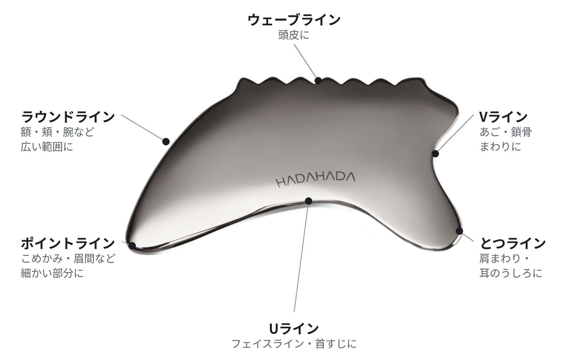 SAKIの6つのケアライン